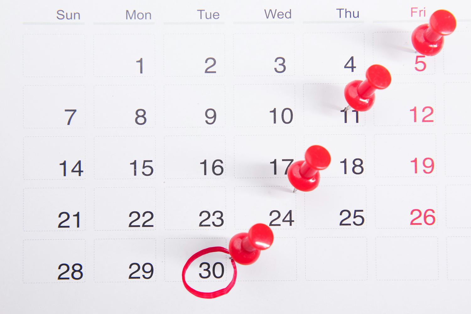 Monthly calendar page with one date ringed in red and red pins