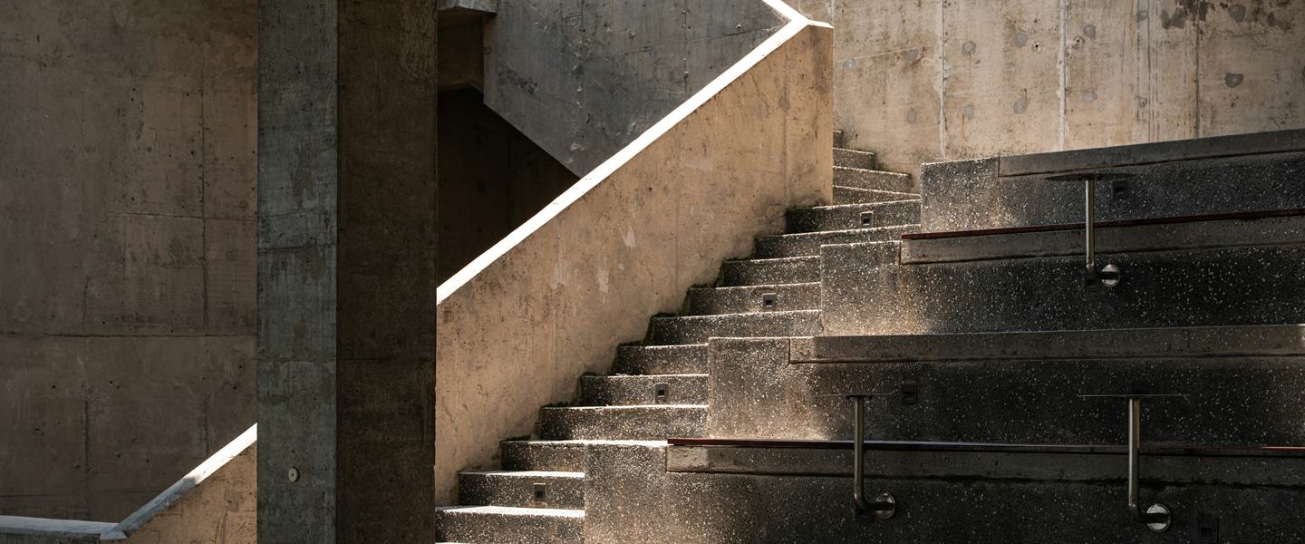 Sunlit concrete staircase rising through a modern building