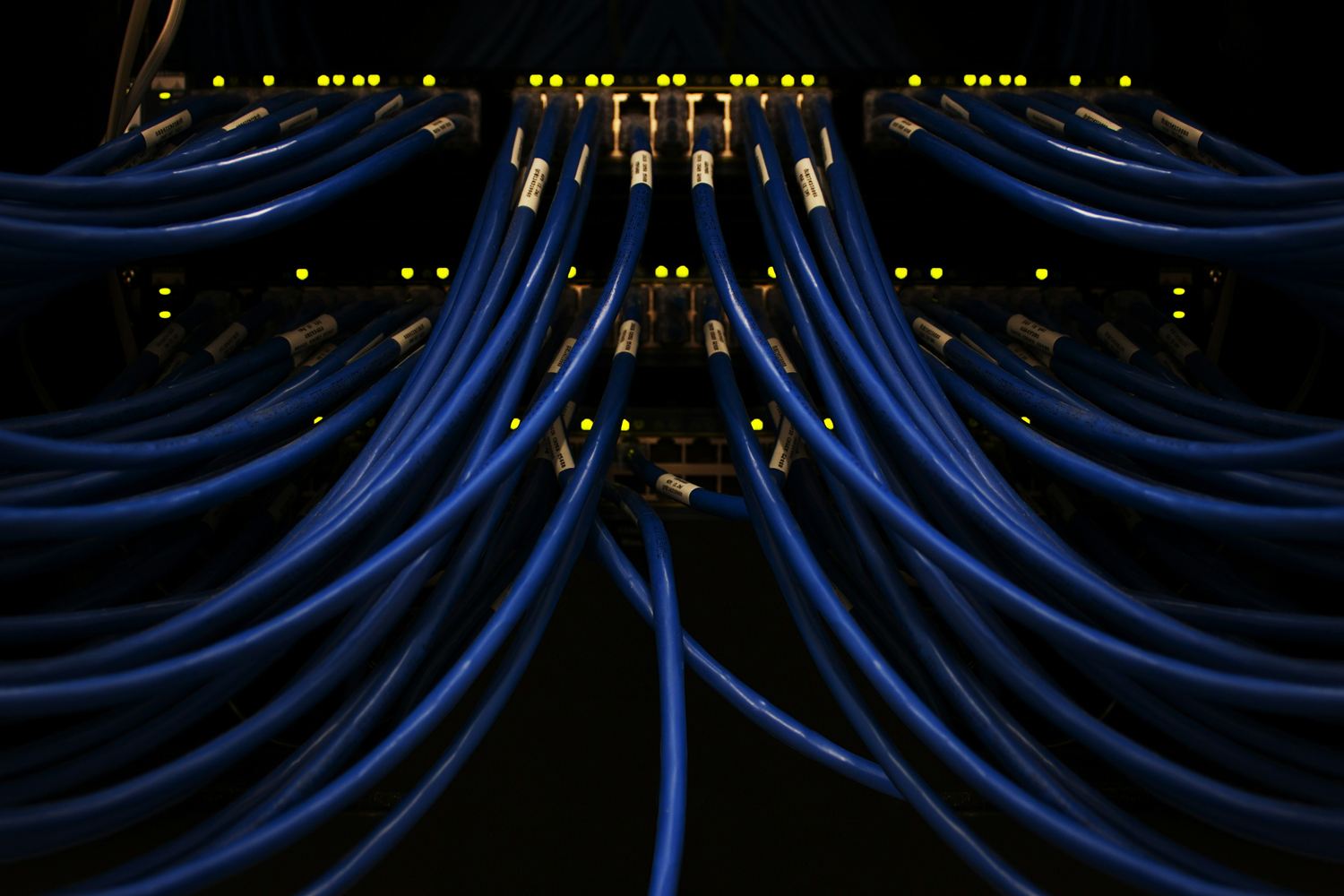 Blue network cables fanning out from switch ports with small status lights