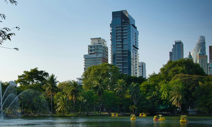 Bangkok towers rising behind the trees and lake of Lumphini Park by day