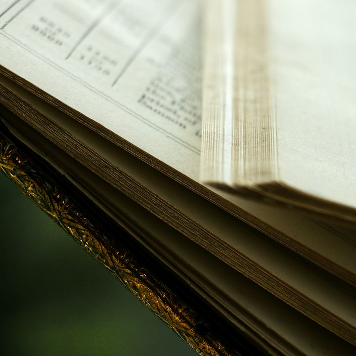 Close-up of an open ledger-style book with ruled columns of figures
