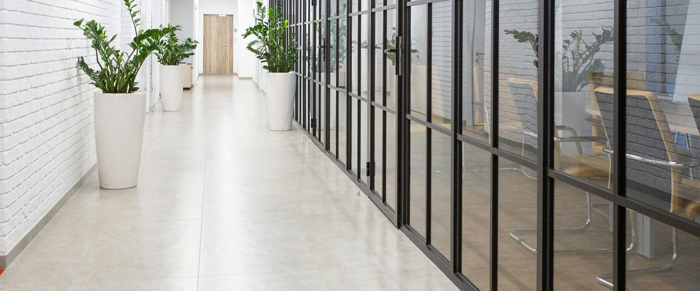Bright office corridor with black-framed glass partitions and potted plants